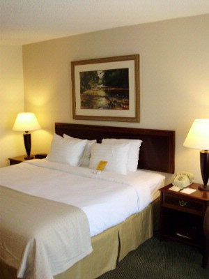 Holiday Inn Joplin - Standard King Guestroom