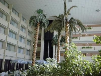 Atrium Patio