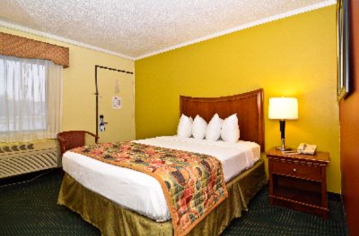 Best Western Franklin Inn - Room