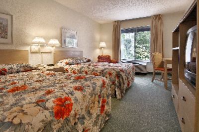 Standard Room With Two Double Beds