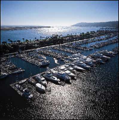 Image of Island Palms by Best Western