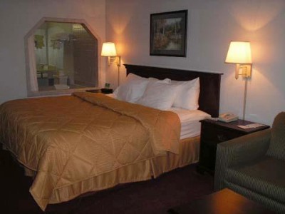 Comfort Inn - Whirlpool Room