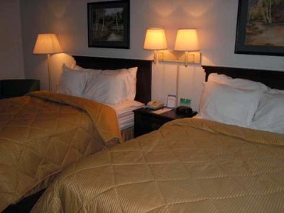 Comfort Inn - Standard Double Room