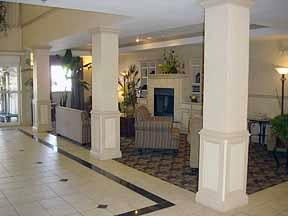 Comfort Suites - 