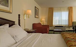 Executive King Guest Room