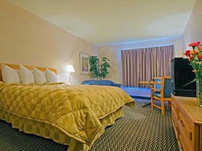 Comfort Inn - 