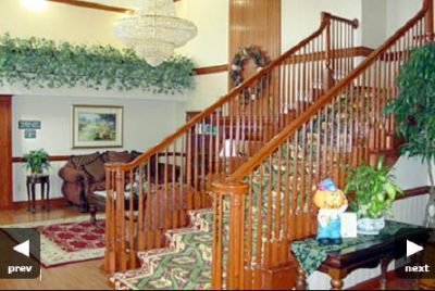 Curl Up With A Book From Our In-house Library Near The Fireplace