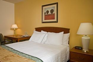 Two Bedroom Suite