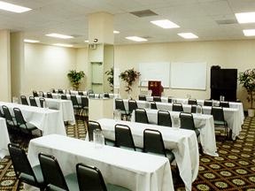 Comfort Suites Hotel - 