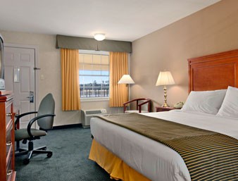 Standard One King Bed Room