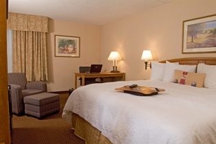 King Guest Room
