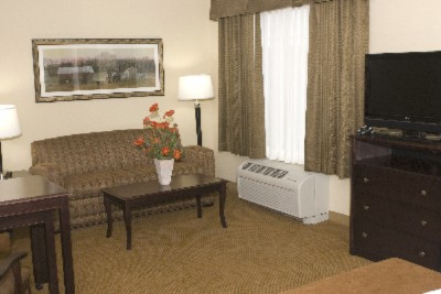 King Studio Suite