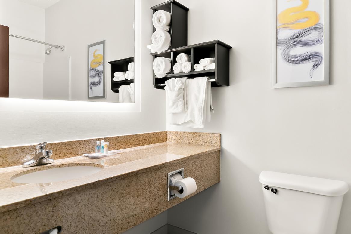 Comfort Suites Southfield - Standard Suite - 2 Queen Beds