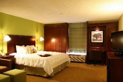 Hampton Inn - Spacious King Room With Pull-out Sofa