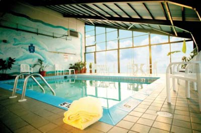 Dolphin Inn - 