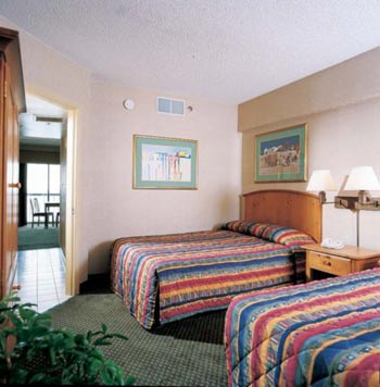 Dolphin Inn - 