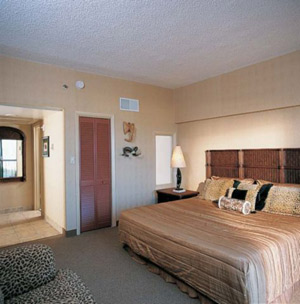 Dolphin Inn - 