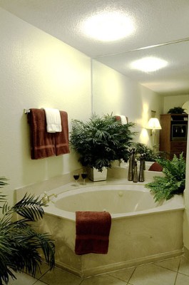 Quality Inn Sarasota - 