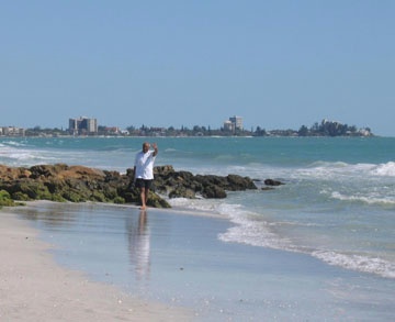 Quality Inn Sarasota - 