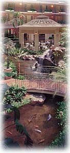 Embassy Suites Hotel Dfw South - Atrium Showing Pond And Gazebo