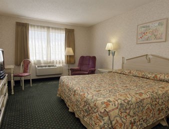 Travelodge - One King Bed Room