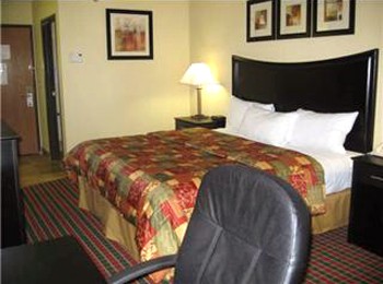 Best Western Canal Winchester Inn Columbus South E - 1 King Bed