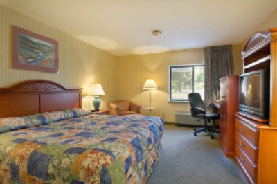 Baymont Inn & Suites - Standard King Room