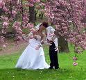 Country Inn & Suites by Carlson Deer Valley / Nort - Affordable Wonderful Weddings!