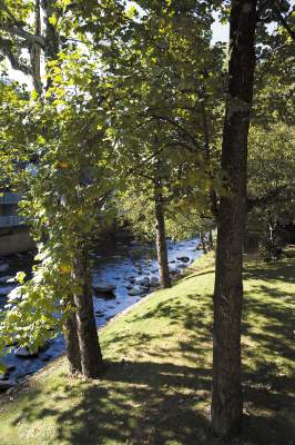 Riverfront Picnic Area With Outdoor Grills