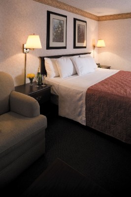King Room With Sleepr Sofa Refrigerator & Microwave