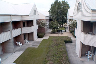 Courtyard View
