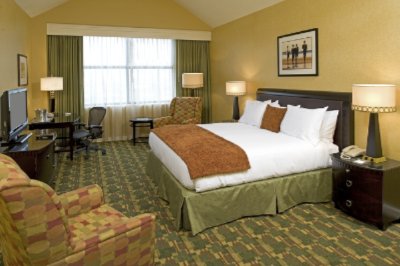 Hilton Houston North - Standard King