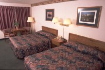 Painted Buffalo Inn - Standard Room