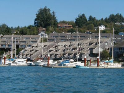 View From The Bay