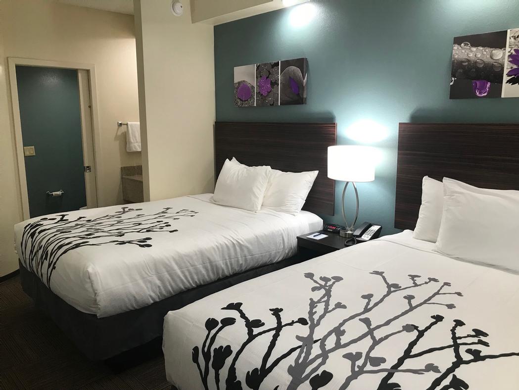Ramada Marietta - King Bed