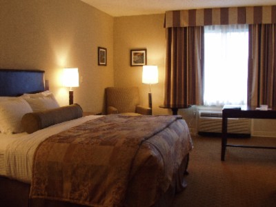 Hilton Toledo - King Room