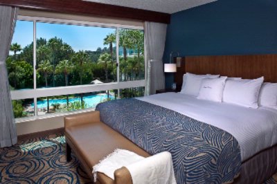 Doubletree - Guest Rooms