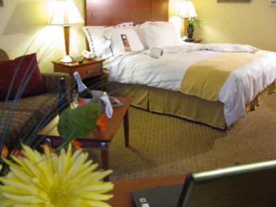 Newly Renovated Spacious King Guestrooms With Sleep Number Beds