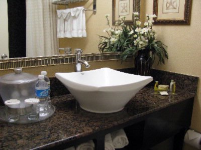 Radisson Hotel Charleston Airport - Newly Renovated Luxury Guestroom Baths With Complimentary Asira Bath Products