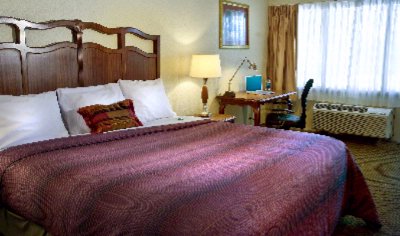 Lexington Hotel New Orleans Airport - 