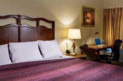 Lexington Hotel New Orleans Airport - 