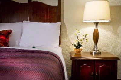Lexington Hotel New Orleans Airport - 