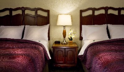 Lexington Hotel New Orleans Airport - 