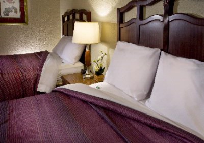 Lexington Hotel New Orleans Airport - 