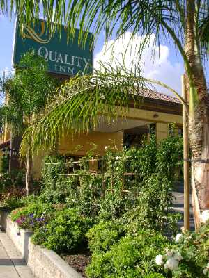 Quality Inn Pasadena - Landscape