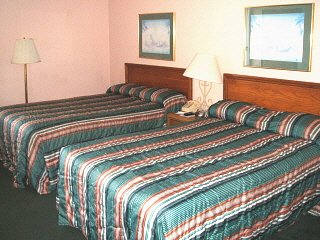 Our Standard Double-bedded Room