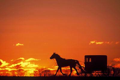 Red Roof Inn & Suites Lancaster - Amish Countryside