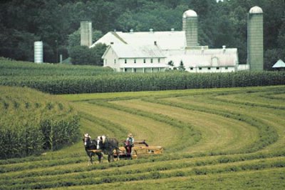 Red Roof Inn & Suites Lancaster - Amish Farms