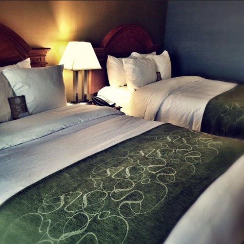 Comfort Suites Southgate