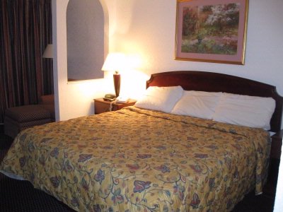 Rodeway Inn & Suites Hotel & Conference Center - King Bed Guest Rooms